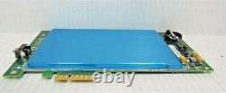 SafeNet/Cavium High-End Intelligent 808-00011-001 Rev A PCI-E Adapter Card